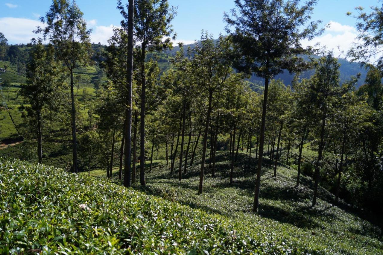 Oyo 238 Selva'S Guest House ヌワラ・エリヤ エクステリア 写真